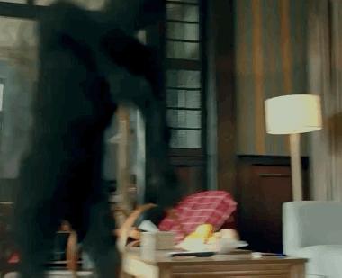 白宇朱一龙镇魂好不好看,朱一龙白宇看过镇魂的书