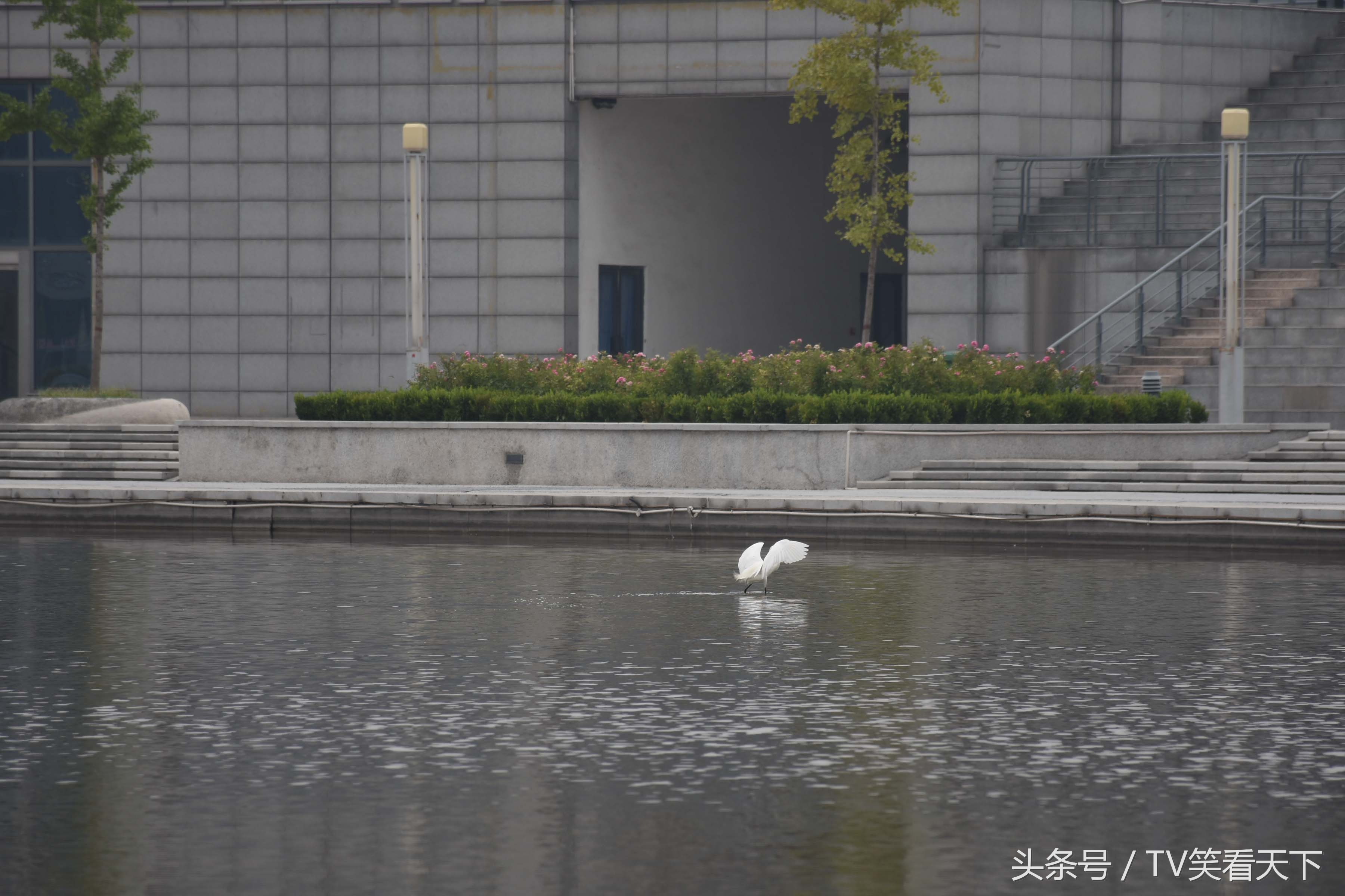 焦作“新体育馆”，有什么好玩的？睁大眼睛！跟我来！