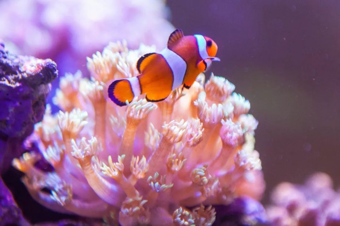 给所有朋友的忠告,给大家的五点忠告人生感悟