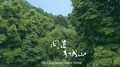 都江堰青城康养,都江堰青城康养中心