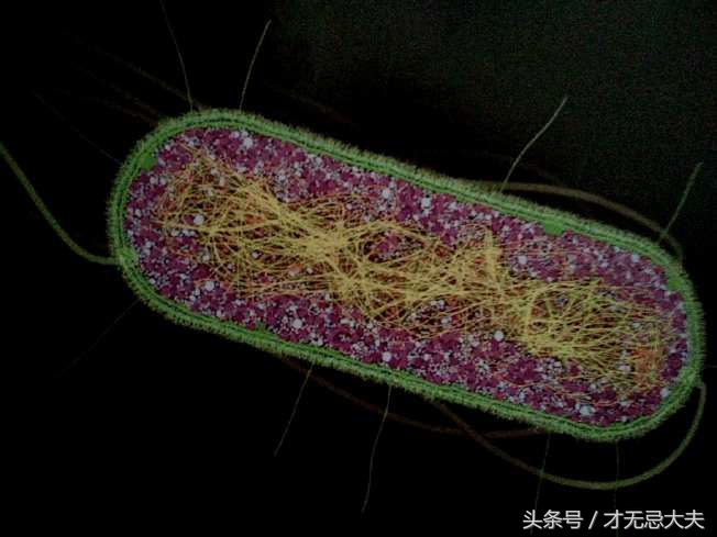 夏天是尿路感染的高发季，如何预防和治疗呢？