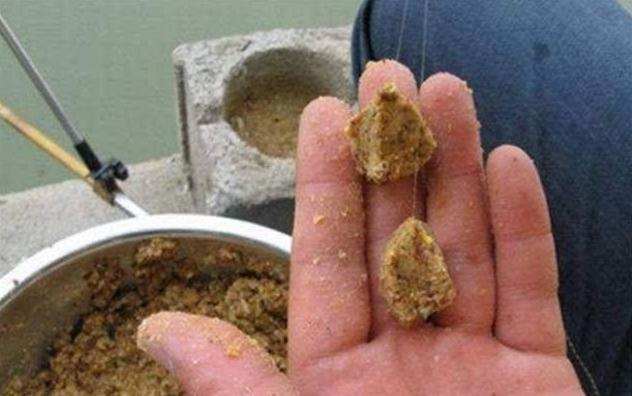 黑坑钓鲫鱼用什么方法,黑坑钓鲫鱼正确方法