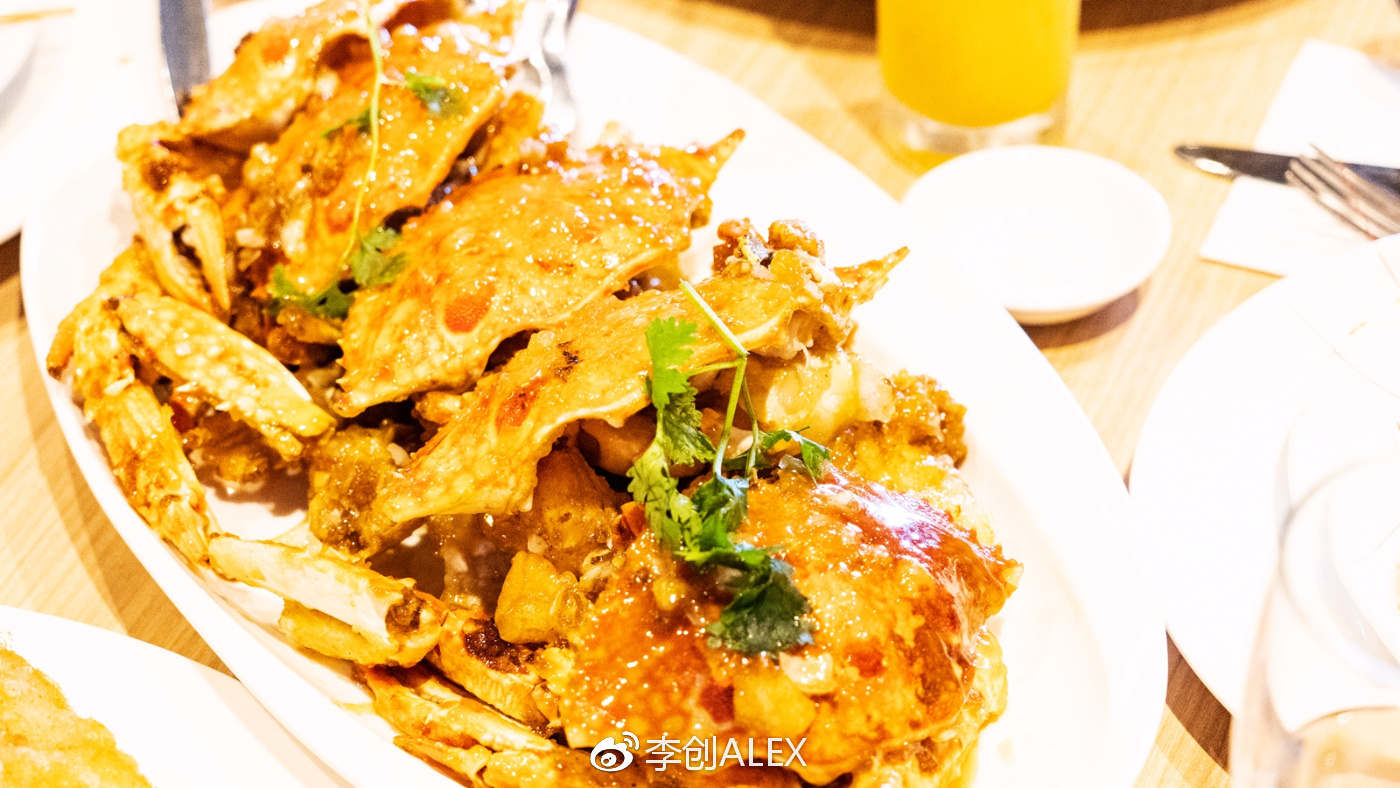 菲律宾宿务薄荷岛潜水之行,菲律宾宿务岛旅游潜水