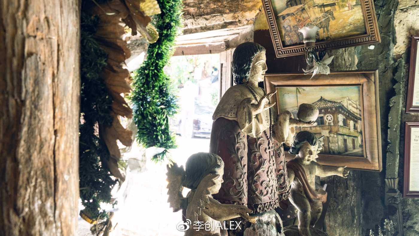 菲律宾宿务薄荷岛潜水之行,菲律宾宿务岛旅游潜水