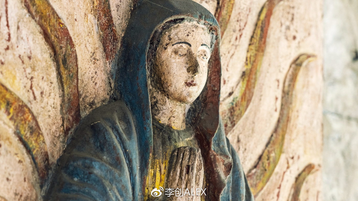 菲律宾宿务薄荷岛潜水之行,菲律宾宿务岛旅游潜水