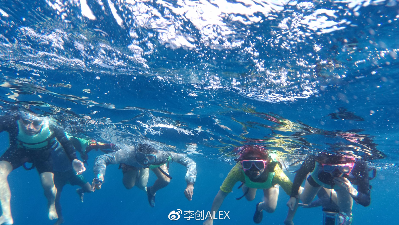 菲律宾宿务薄荷岛潜水之行,菲律宾宿务岛旅游潜水
