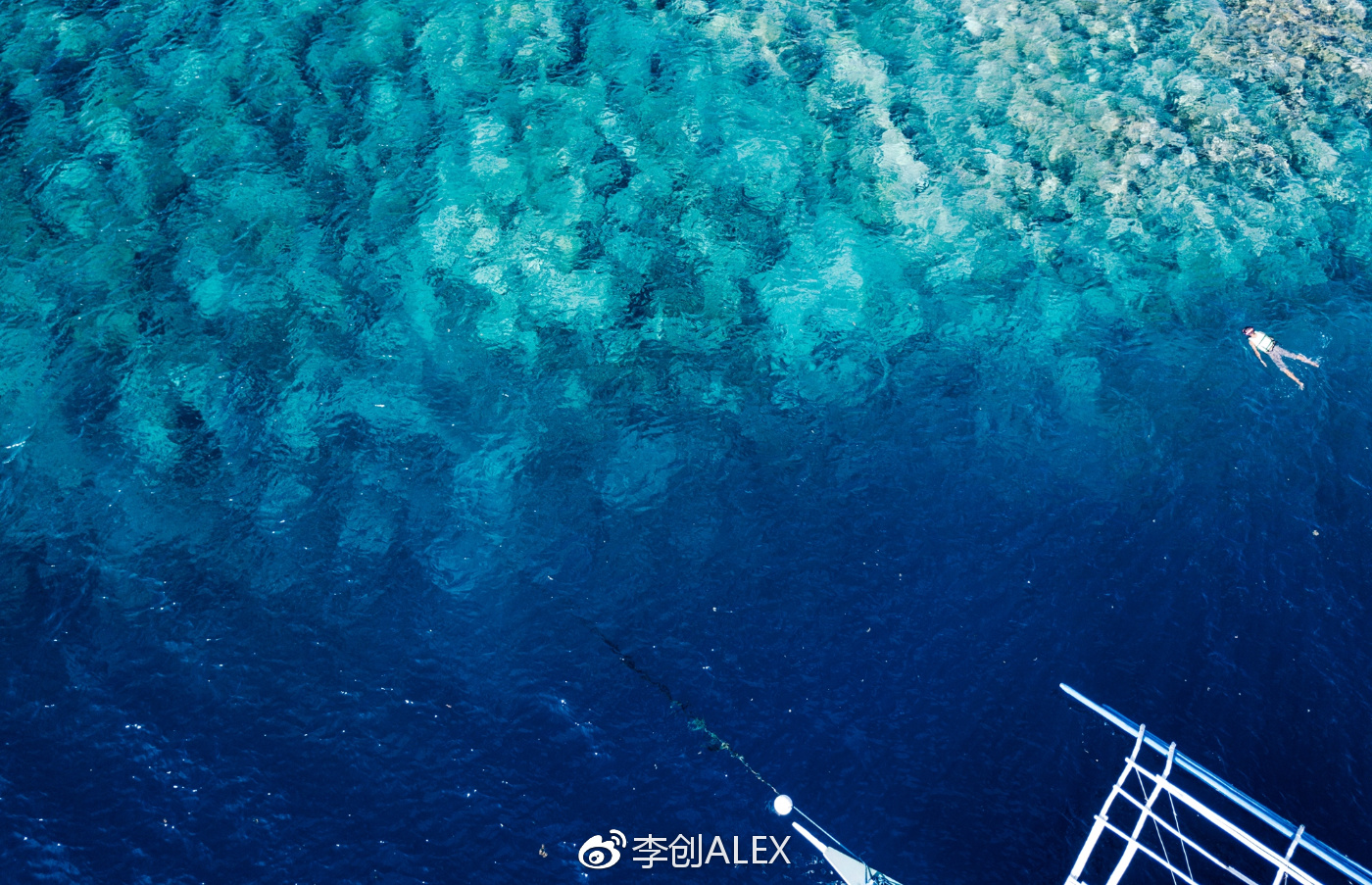 菲律宾宿务薄荷岛潜水之行,菲律宾宿务岛旅游潜水