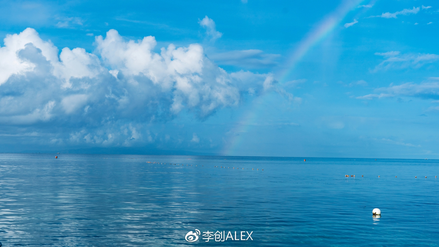 菲律宾宿务薄荷岛潜水之行,菲律宾宿务岛旅游潜水