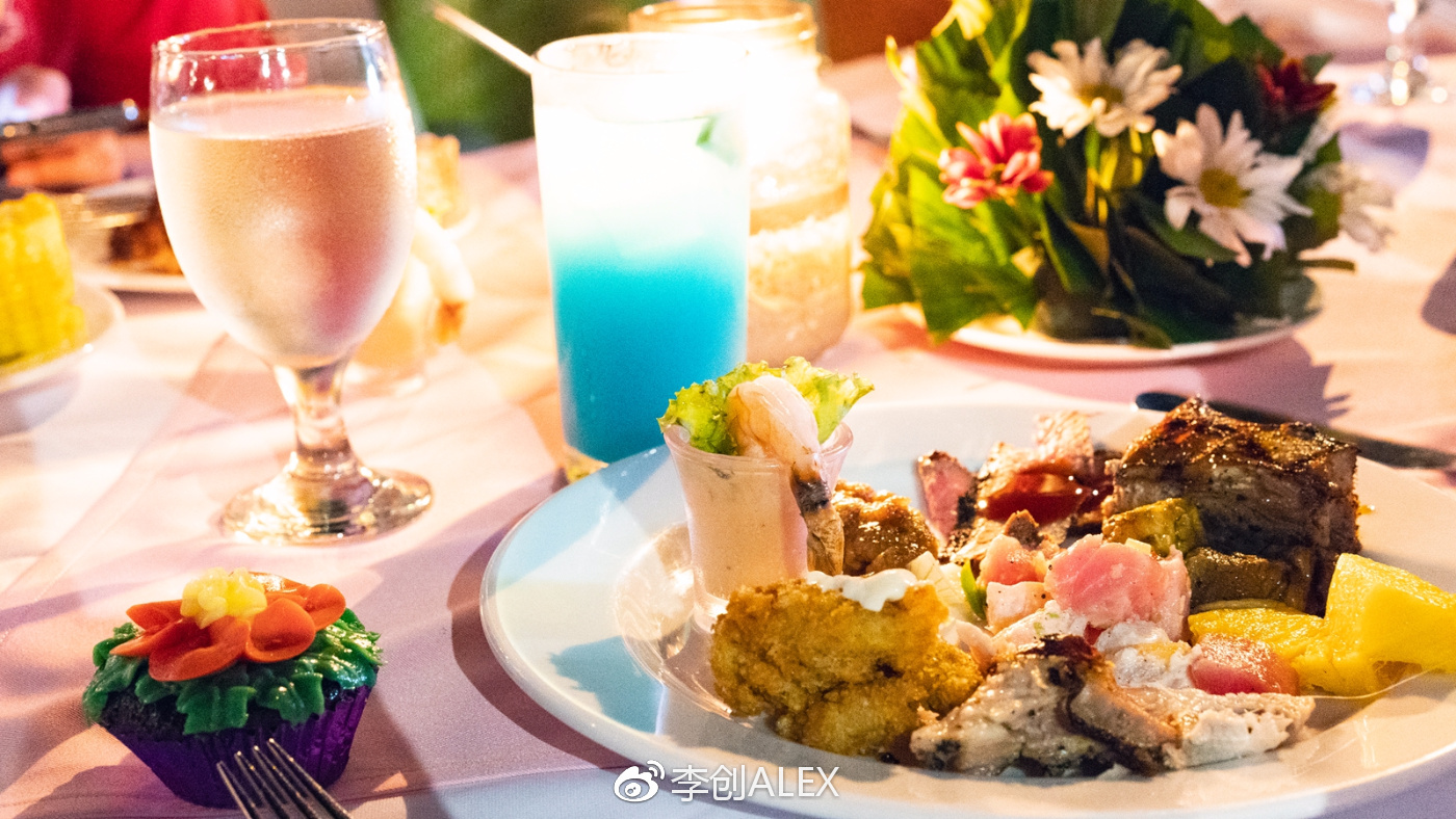 菲律宾宿务薄荷岛潜水之行,菲律宾宿务岛旅游潜水