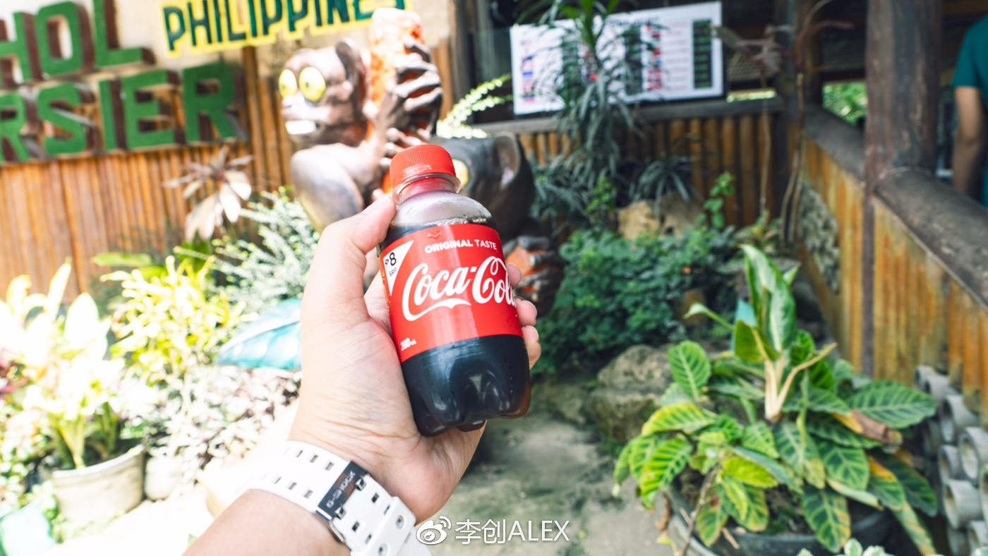 菲律宾宿务薄荷岛潜水之行,菲律宾宿务岛旅游潜水