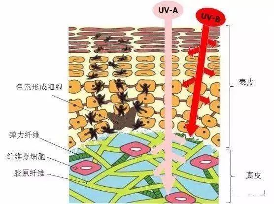 抖音平价可以喷脸的防晒喷雾,抖音博主都在用的防晒喷雾