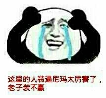 你赌必赢表情包,我还能赌表情包