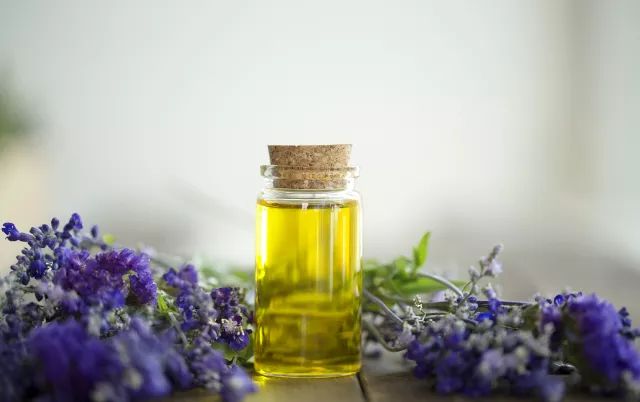 家中有人生病适合摆放什么摆件,家里摆大盆栽