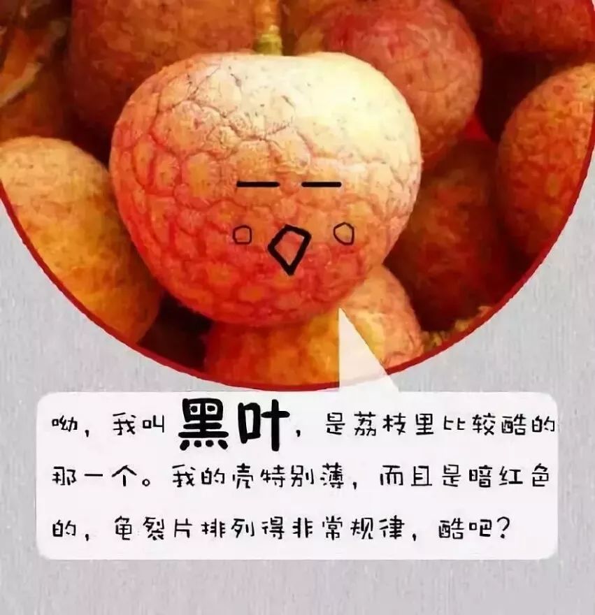 一场风雨一场空歌曲,一场风雨一场空舞蹈