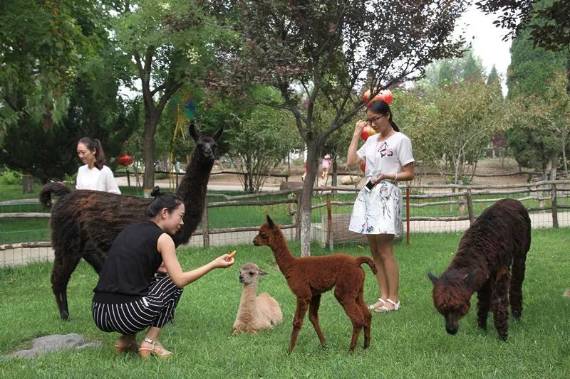 金宝游乐园最新消息,金宝乐园营业时间