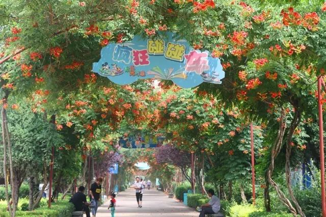 金宝游乐园最新消息,金宝乐园营业时间