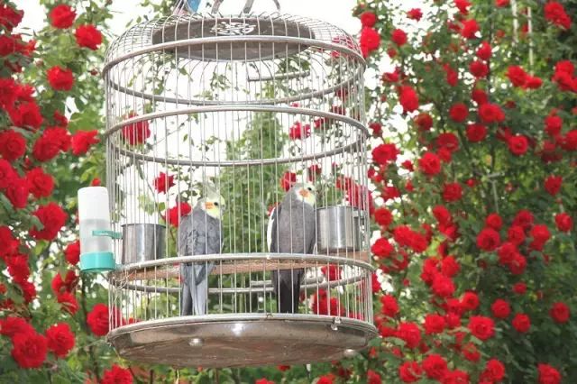 金宝游乐园最新消息,金宝乐园营业时间