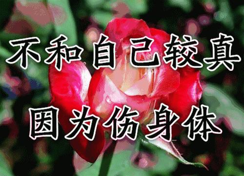 难忘老同学相聚,难忘同窗情诗词祝福语