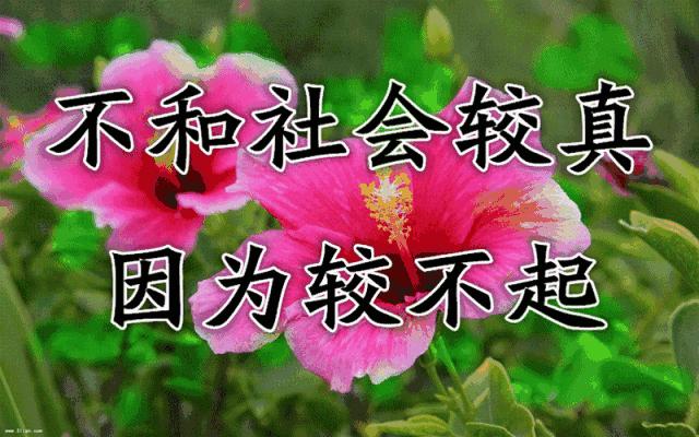 难忘老同学相聚,难忘同窗情诗词祝福语