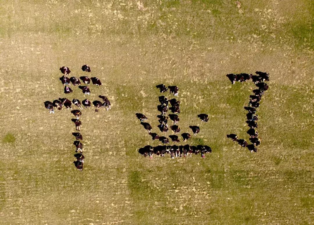 人生再无少年男声版,人生再无少年时