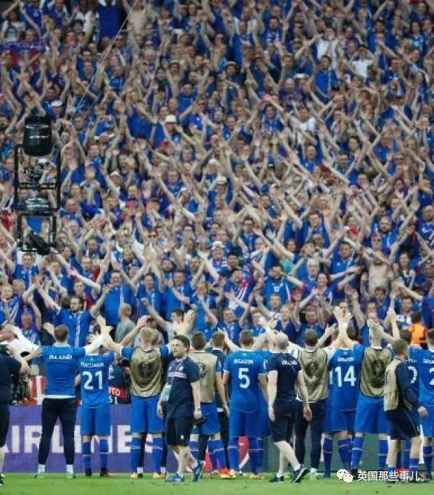 冰岛是怎么进的世界杯,冰岛队成名之战