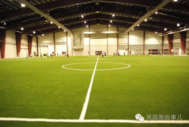 冰岛是怎么进的世界杯,冰岛队成名之战