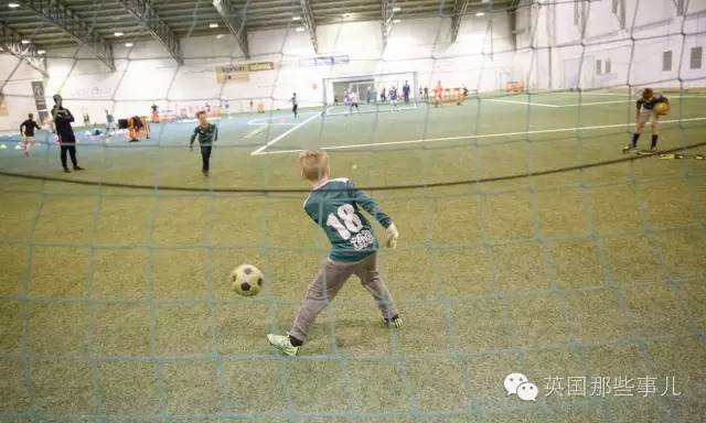 冰岛是怎么进的世界杯,冰岛队成名之战