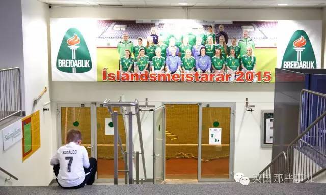 冰岛是怎么进的世界杯,冰岛队成名之战