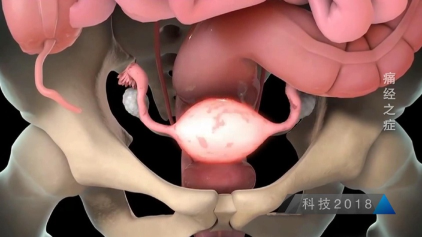 生完孩子痛经就好了是真的吗,生了孩子就不痛经是真的吗