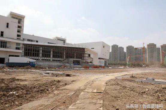 张家港市2023年要新建哪些学校,张家港2021年新办学校