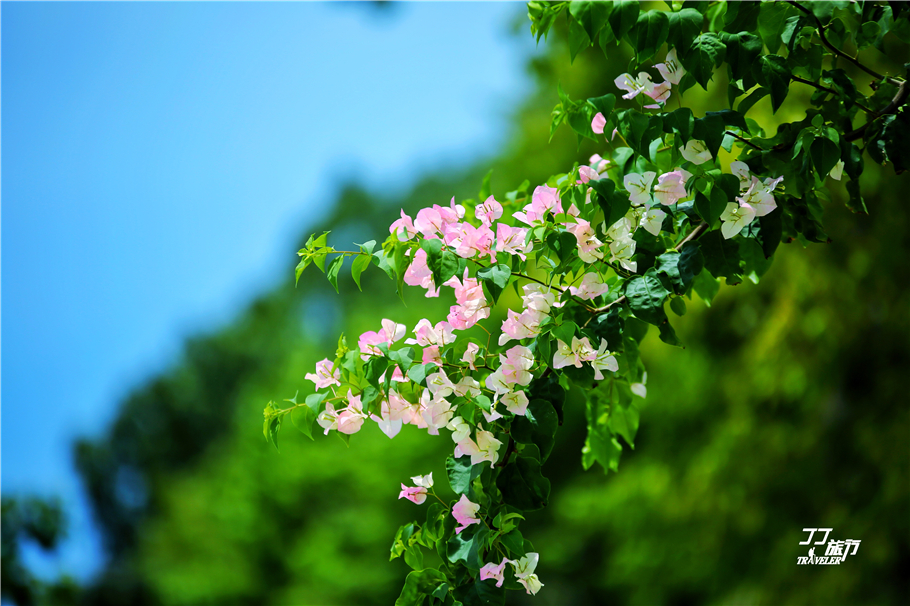 有一种蓝叫昆明,有一种蓝叫平潭蓝