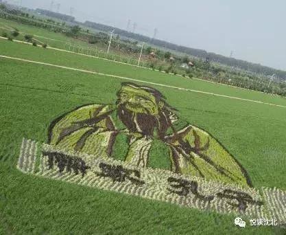 沈北新区泥巴节,沈阳锡伯族庙会