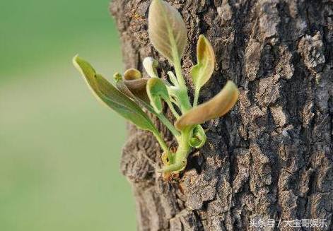 心理测试秒测你有没有享福命,心理测试测出你明年的困境是什么
