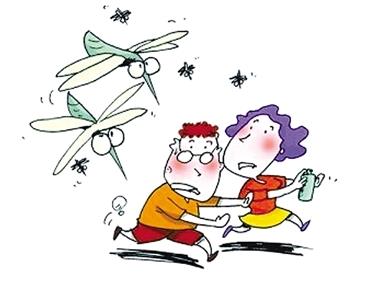 装修窗户一定要用断桥铝吗,装修窗子有没有必要用好的