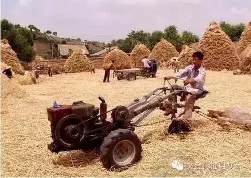 割麦子麦地里晒太阳,割麦子文登