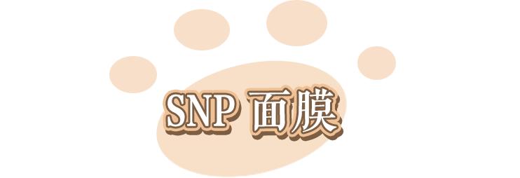 lv定制款狗狗包,lv上画熊猫的包