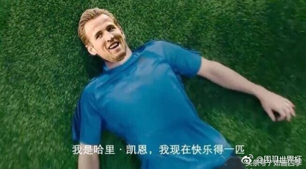 本泽马世界杯图片,罗本vs本泽马