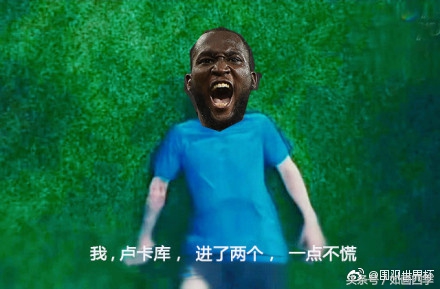 本泽马世界杯图片,罗本vs本泽马