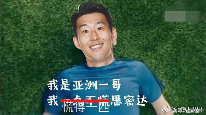 本泽马世界杯图片,罗本vs本泽马