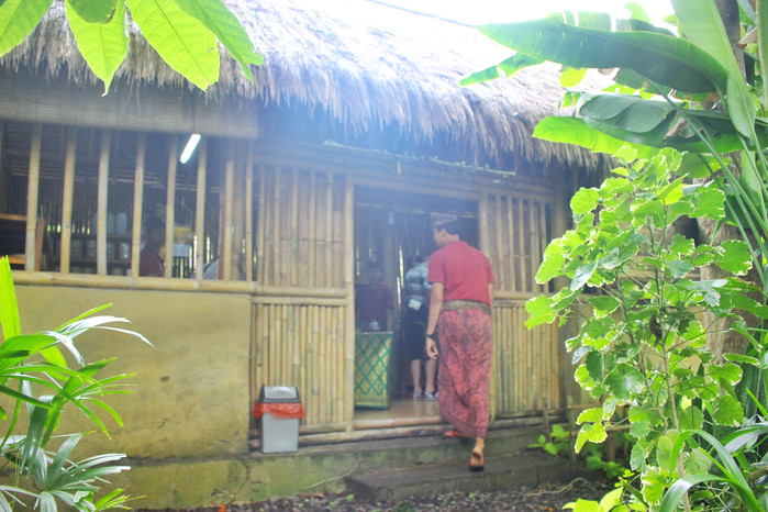巴厘岛怎么玩省钱又舒服,巴厘岛攻略自由行详细