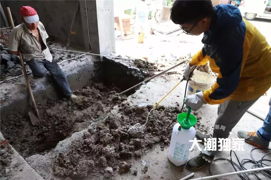 千万别大意!这户人家挖出成千上万蠕动的……房子下面还有十几个窝……