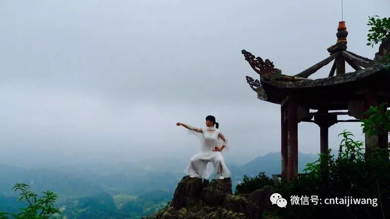 太极大师谈气,太极名师谈真谛