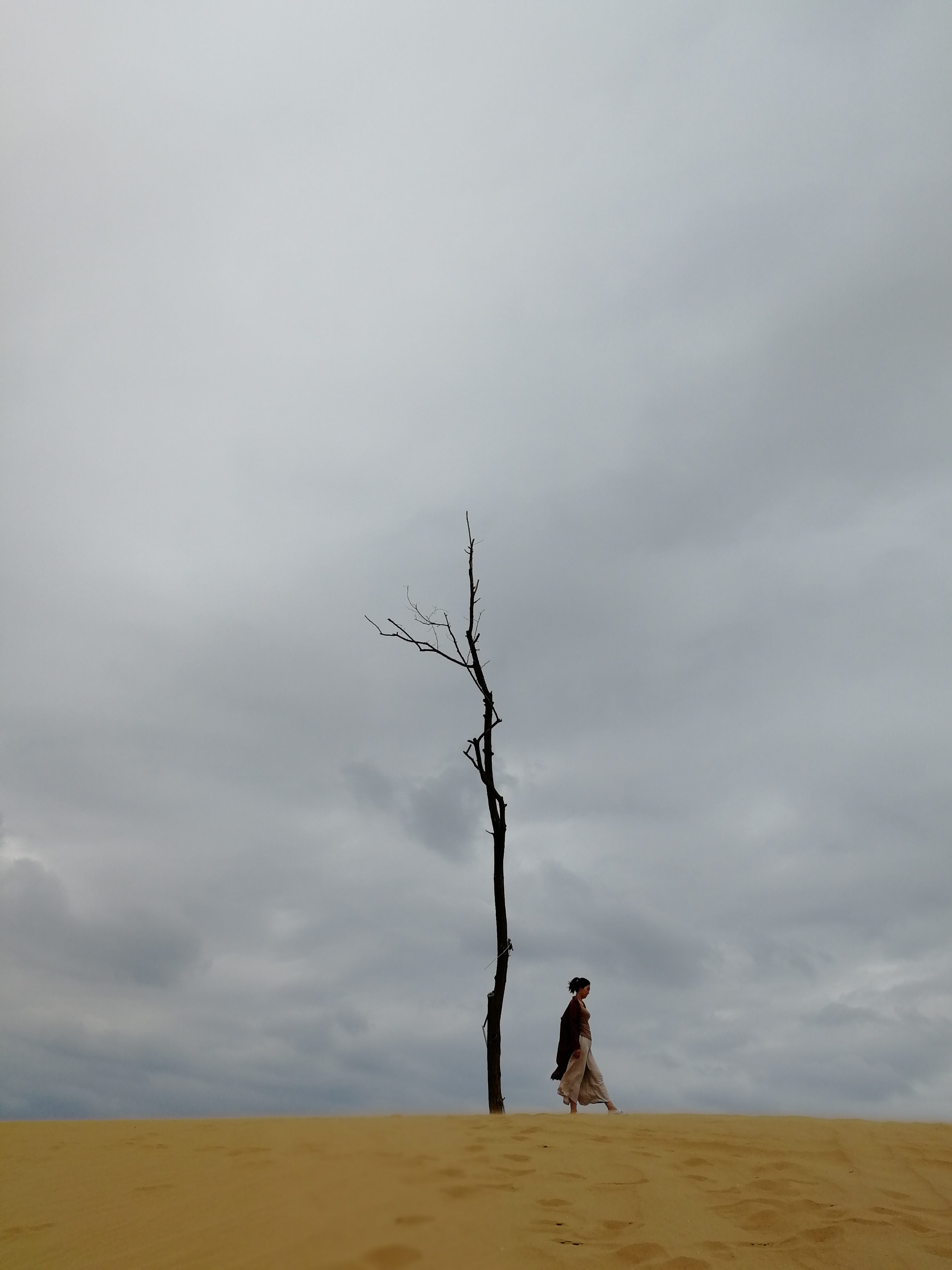 因为不甘所以拼尽全力 (因为无所谓所以努力)