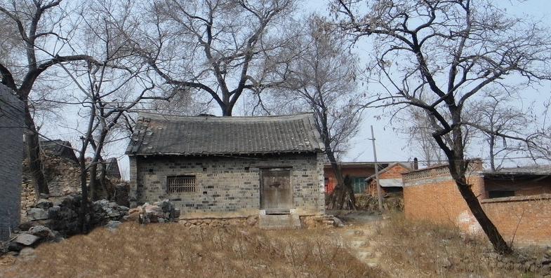 房前屋后不能栽柏树,房前屋后为什么不能栽葡萄树