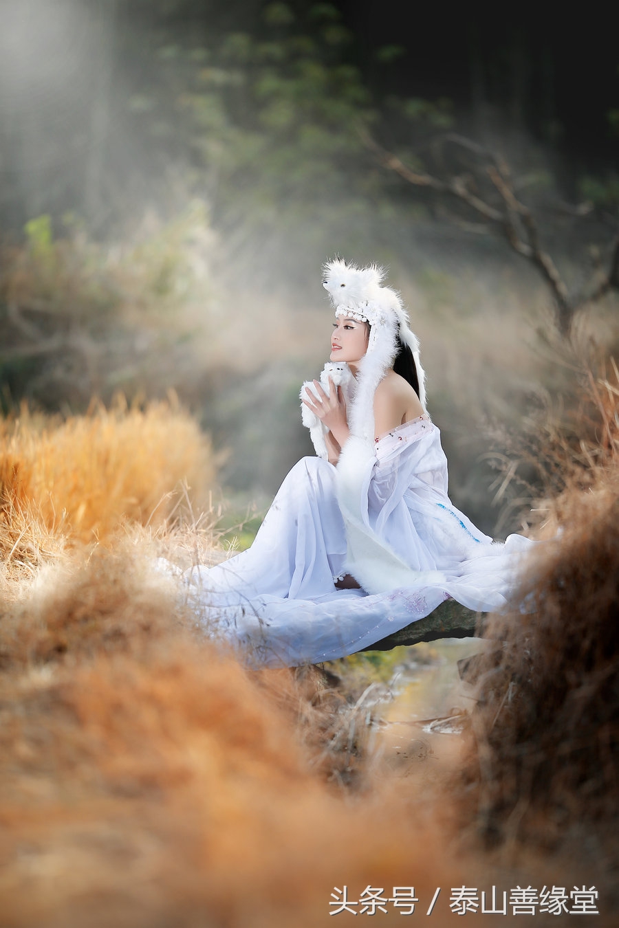 仙家真正看病的视频,仙家能看病吗