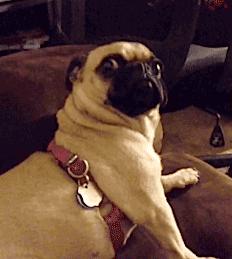 女朋友冲动消费我怎么办,女朋友喜欢冲动消费怎么办