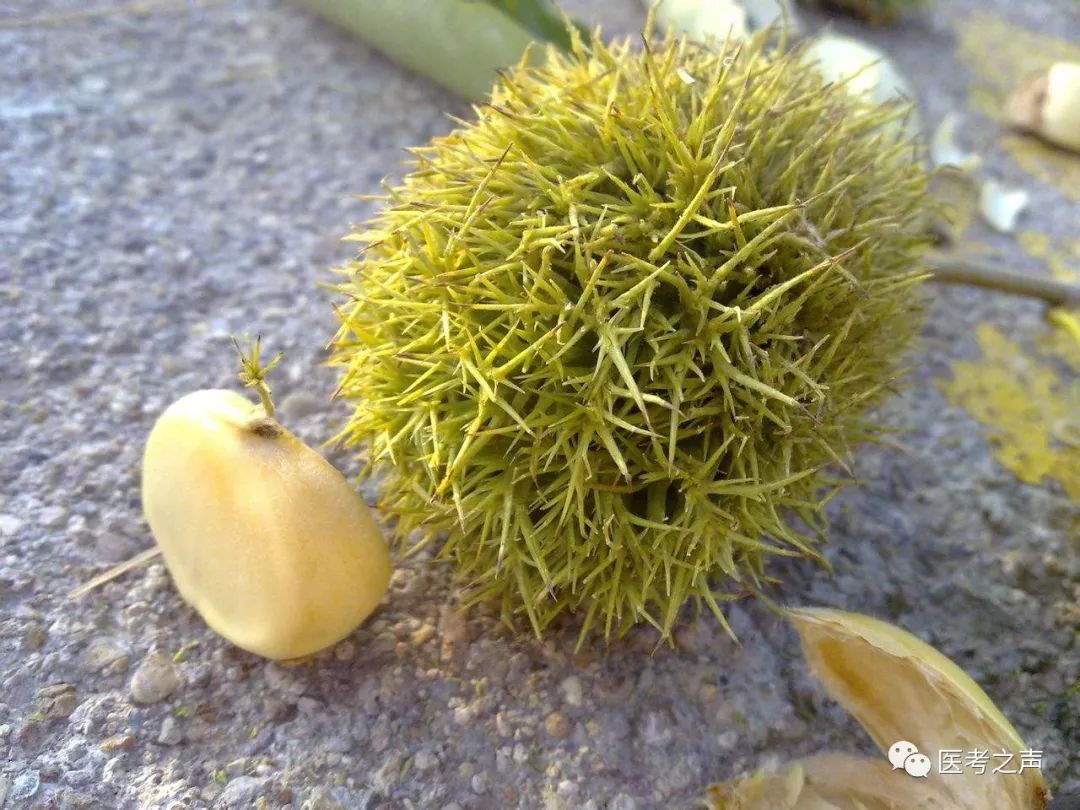 执医技能:X线阅片,全是套路,超简单