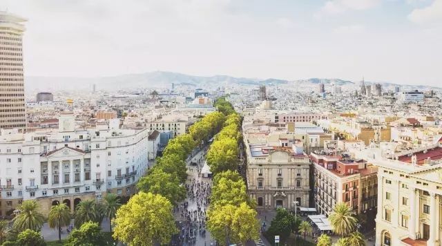 世界杯西班牙夺冠之路,世界杯决赛西班牙夺冠