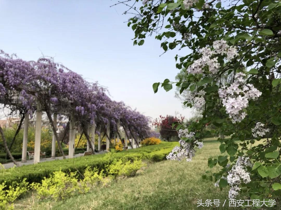 陕西省哪些大学是中国高水平大学,陕西省重点建设的高水平大学