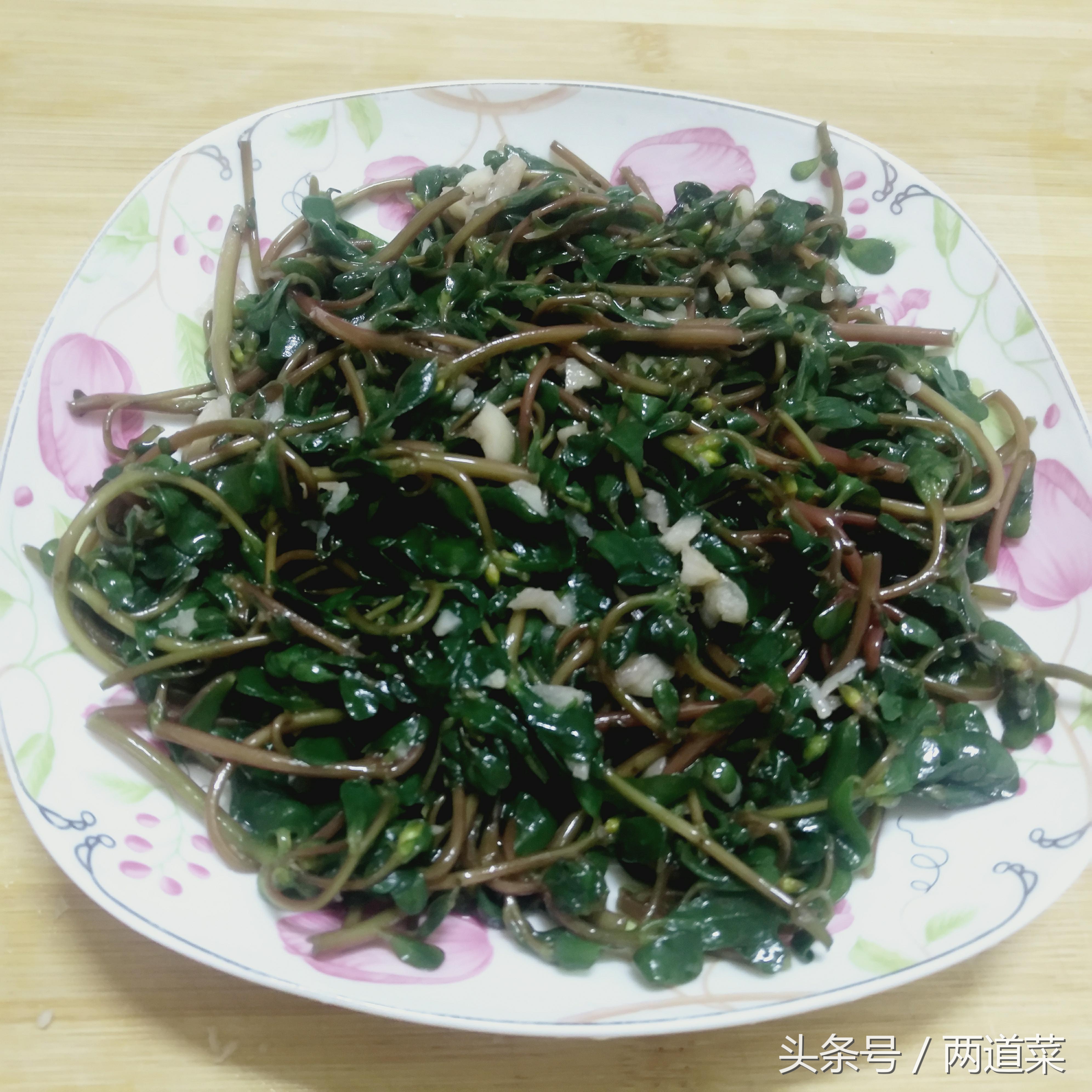 干马齿菜的家常做法大全集,马齿菜怎么做好吃又简单